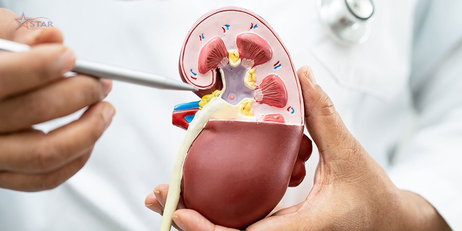 Nephrology at Samridhi Hospital